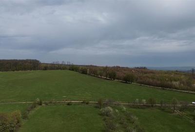 Teren intravilan 5800 mp Mitocasi - Suceava! Teren intravilan 5800 mp Mitocasi - Suceava! - 11