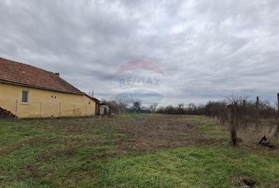 Teren Construcții intravilan de 1241 mp, în Frumușeni - 2