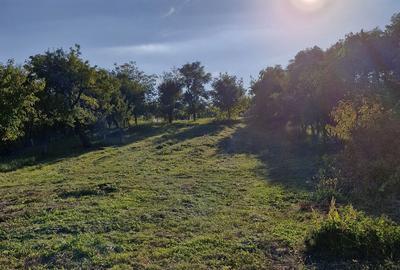 Casă cu 4 camere în Petru Rareș - 5