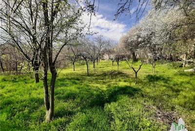 Casă individuală cu 3 camere cu Canalizare în Central - 2