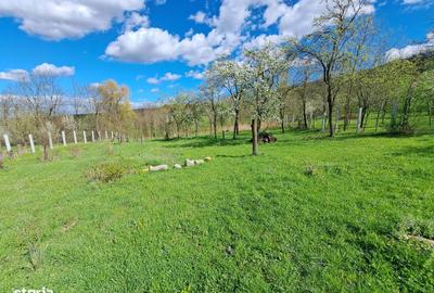 Spațiu comercial, în Straja - 5