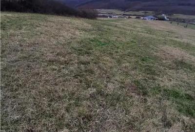 Teren în Betfia - 1