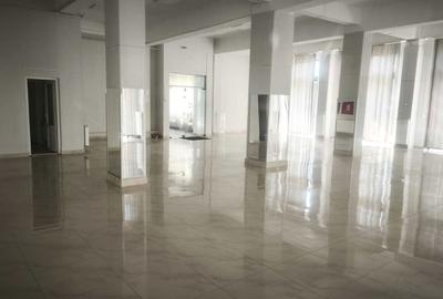 Spațiu comercial, de 450 mp, în Ultracentral - 2