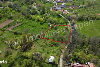 Teren de 2253 mp, în Cepari - 7