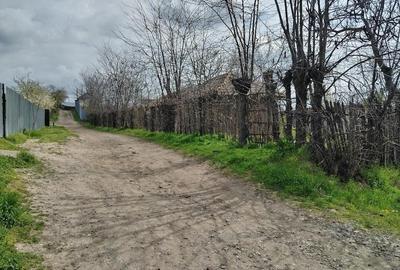 Teren de 1801 mp, în Ijdileni - 3
