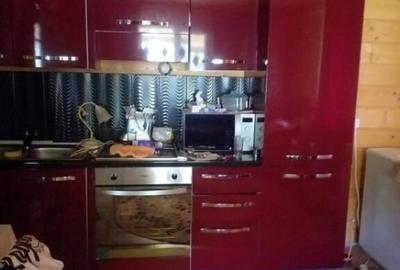 HORIA - 3 CAMERE ,SUPRAFATA 100 MP,TEREN 3000 MP CU DESCHIDE - 13