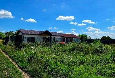 Casă individuală cu 4 camere cu Teren 500 Mp în Dascălu - 9