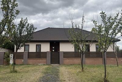 Casă cu 3 camere cu Teren 325 Mp în Șag - 8