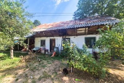 Casa , teren intravilan Urlueni Barla Arges - 5