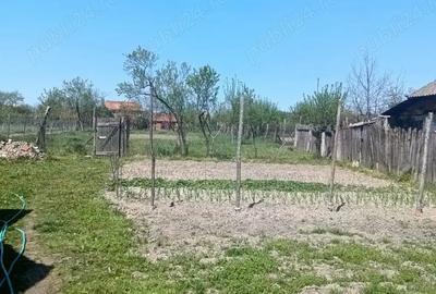 Casa in jud Arad - 1