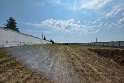 Teren Cu Deschidere La Lac | De inchiriat | Snagov | Utilita - 7