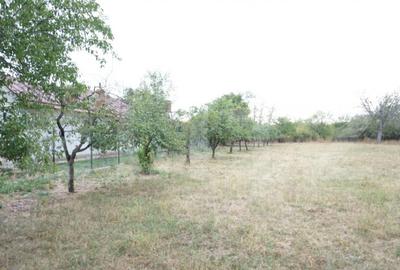 Teren de 1777 mp, în Buda (Ariceștii Rahtivani) - 3