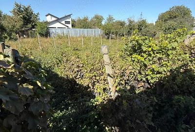 Casa spa?ioasa cu teren generos in Tecuci zona Balcescu - 4