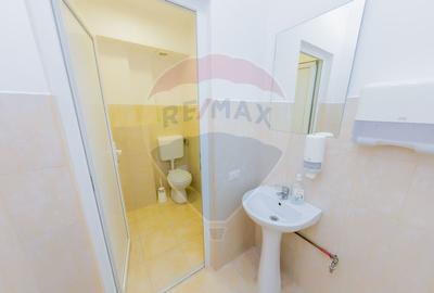 LUX! De inchiriat Spatiu comercial cu birouri, magazie si acces TIR - 16