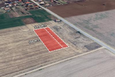 Teren Branesti deschidere la drum asfaltat ideal mica dezvoltare imobiliara. Teren Branesti deschidere la drum asfaltat ideal mica dezvoltare imobiliara. - 2