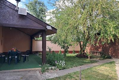 Casă cu Teren 2049 Mp în Bazoș - 7
