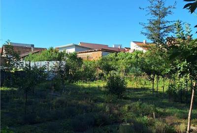 Reco, Casa demolabila, Oradea - 2