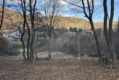 Spațiu comercial, în Feleacu - 1