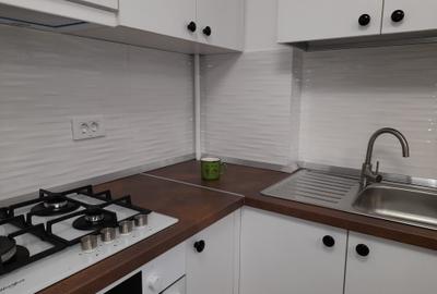 Apartament cu 2 camere decomandat în Beba Veche - 6