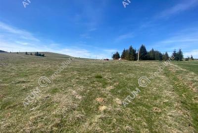 Teren intravilan 3000 mp cu utilitati in Paltinis judet Sibiu - 10