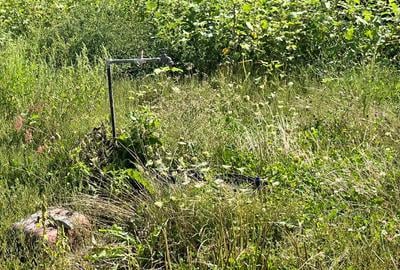 Proprietate UNICA: Casa la rosu cu teren mare si acces la rau - 3