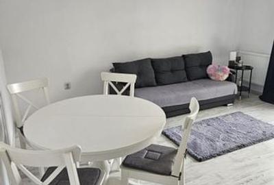 Calea Urseni | 2 Camere | Curte proprie | Pet friendly | Disponibil imediat Calea Urseni | 2 Camere | Curte proprie | Pet friendly | Disponibil imediat - 2