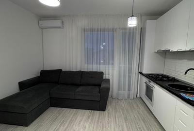 Apartament cu 2 camere decomandat în Turnișor - 5