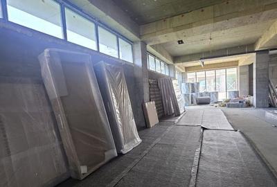 Zona Viilor sp 442 mp open space 10 locuri de parcare - 11