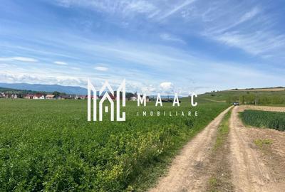 Teren agricol de 45200 mp, în Cașolț - 1