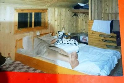 Lepsa Vrancea ,zona retrasa linistita si sigura,cabana si teren de vanzare - 9