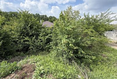Teren Construcții intravilan de 498.01998901367 mp, în Tamași - 8