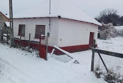 Casă cu Teren 450 Mp în Roșiori - 5