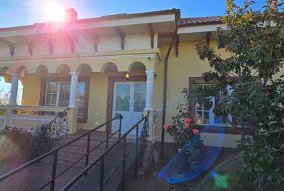VILA LUX DE VANZARE -PANCIU-STRAOANE - 52