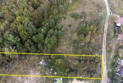 Teren Construcții intravilan de 2819 mp, în Calea Caransebeșului - 5