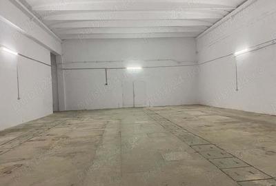 Spatiu SAD, Hala, depozit, Calea Aradului 246 - 486 mp - 7