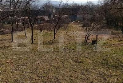 Casă cu Teren 3000 Mp în Central - 4