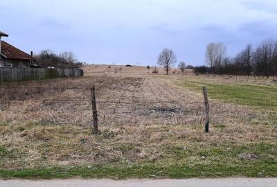 TEREN INTRAVILAN SI EXTRAVILAN POLOVRAGI - BENGEASCA - 3