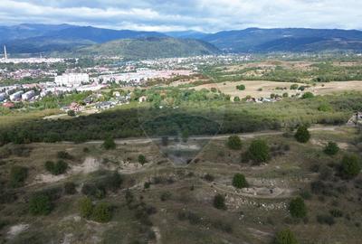 Teren agricol intravilan de 33598 mp, în Est - 4