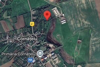 Teren de 5452 mp, în Cornățelu - 2