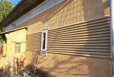 Casă cu 4 camere cu Teren 2500 Mp în Nicolae Bălcescu - 4