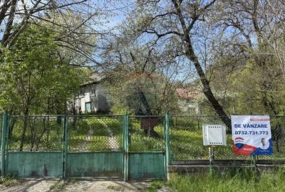 Casă individuală cu 5 camere cu Teren 3056 Mp în Sud - 1