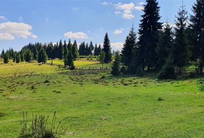 Teren Construcții de 10800 mp, în Beliș - 3