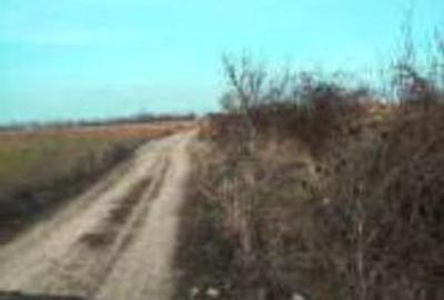 Teren de 1000 mp, în Tomești - 2