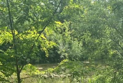 Teren de 10000 mp, în Vicovu de Sus - 6