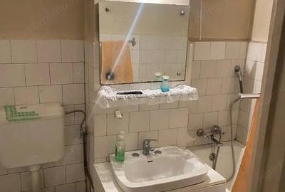 Apartament 2 camere zona Fizicienilor - Camil Ressu - 2