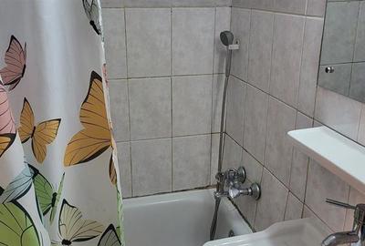 Garsonieră decomandată, mobilată în Nerva Traian - 3