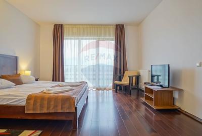 Hotel/Pensiune, de 2,950 mp, în Pănicel - 32