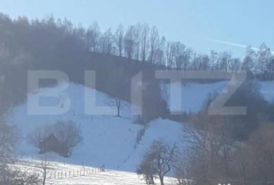 Teren de 9428 mp, în Bran