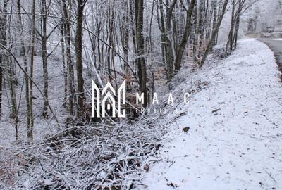 Teren Construcții intravilan de 20000 mp, în Dângești - 21