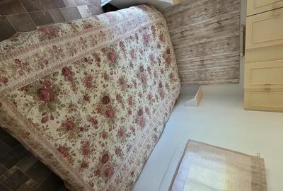 Casă cu Teren 3400 Mp în Checea - 5